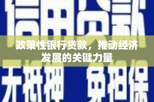 金湾政策性银行贷款，推动经济发展的关键力量