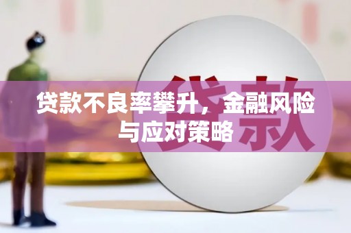 金湾贷款不良率攀升，金融风险与应对策略
