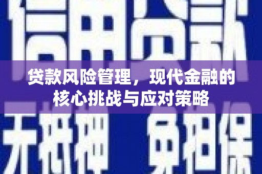 金湾贷款风险管理，现代金融的核心挑战与应对策略