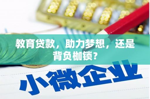金湾教育贷款，助力梦想，还是背负枷锁？