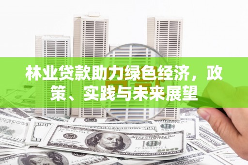 金湾林业贷款助力绿色经济，政策、实践与未来展望