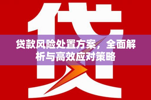 金湾贷款风险处置方案，全面解析与高效应对策略