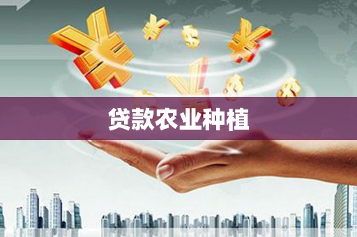 金湾贷款农业种植