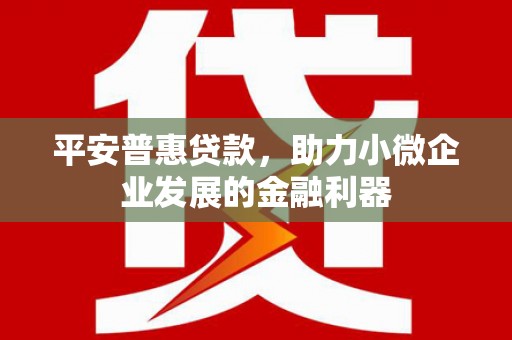 金湾平安普惠贷款，助力小微企业发展的金融利器