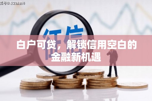 金湾白户可贷，解锁信用空白的金融新机遇
