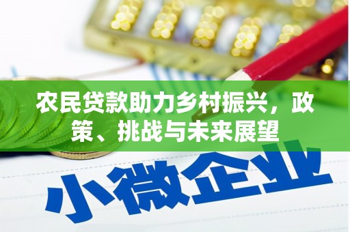 金湾农民贷款助力乡村振兴，政策、挑战与未来展望