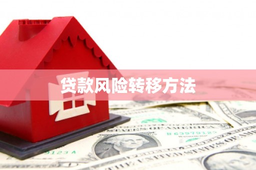 金湾贷款风险转移方法