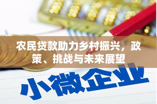 金湾农民贷款助力乡村振兴，政策、挑战与未来展望