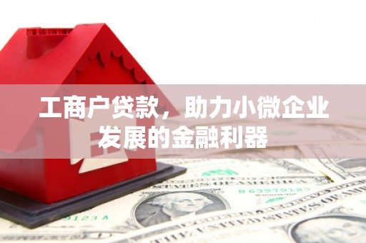 金湾工商户贷款，助力小微企业发展的金融利器