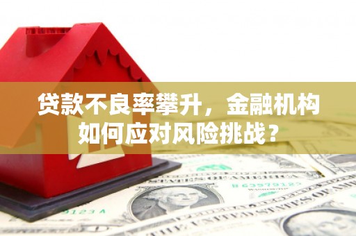 金湾贷款不良率攀升，金融机构如何应对风险挑战？