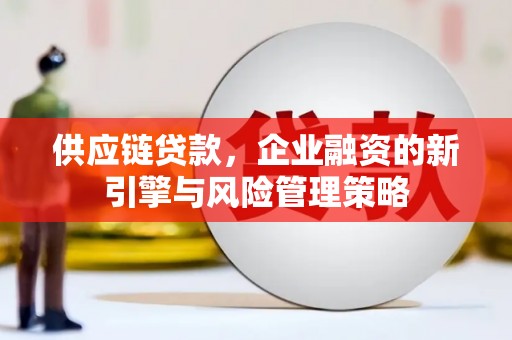 金湾供应链贷款，企业融资的新引擎与风险管理策略
