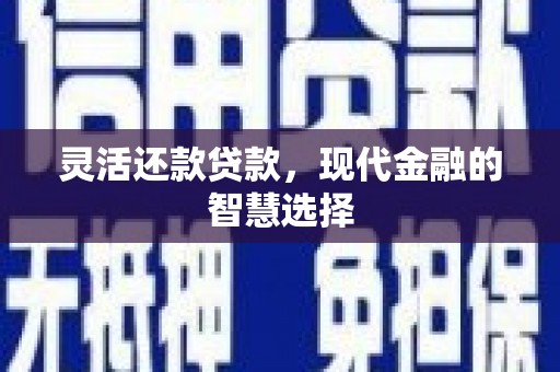 金湾灵活还款贷款，现代金融的智慧选择
