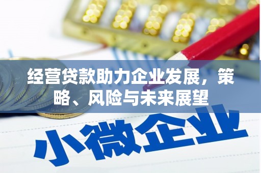金湾经营贷款助力企业发展，策略、风险与未来展望