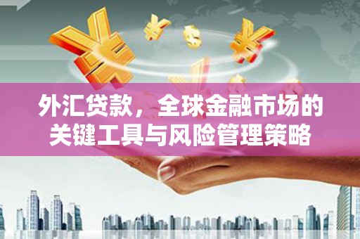 金湾外汇贷款，全球金融市场的关键工具与风险管理策略