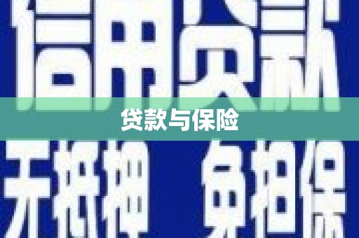 金湾贷款与保险