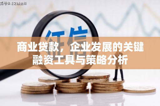金湾商业贷款，企业发展的关键融资工具与策略分析
