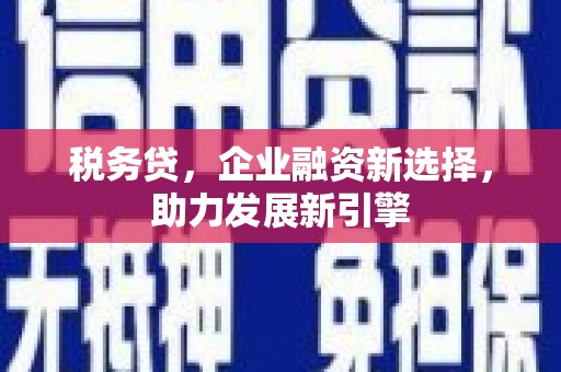 金湾税务贷，企业融资新选择，助力发展新引擎