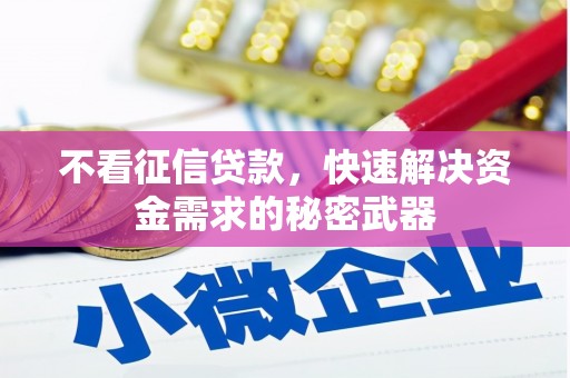 金湾不看征信贷款，快速解决资金需求的秘密武器