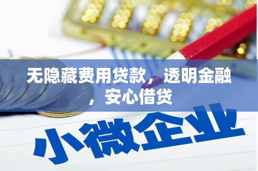 金湾无隐藏费用贷款，透明金融，安心借贷