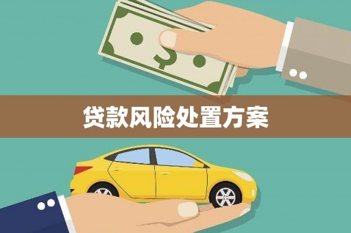 金湾贷款风险处置方案
