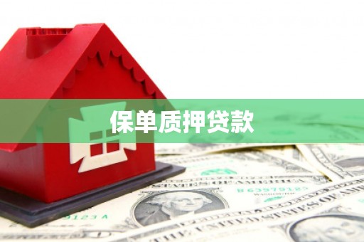 金湾保单质押贷款
