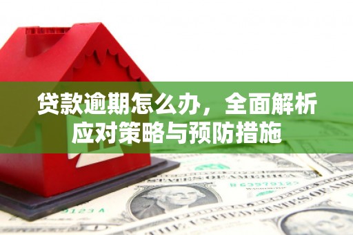 金湾贷款逾期怎么办，全面解析应对策略与预防措施