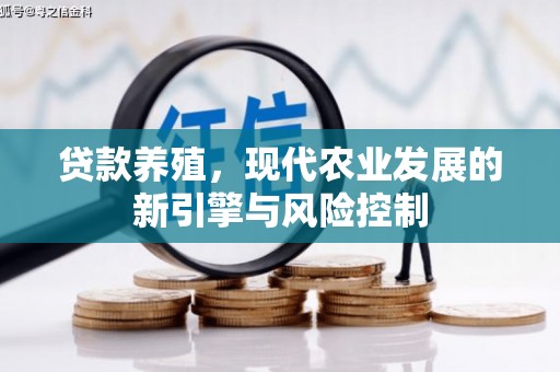 金湾贷款养殖，现代农业发展的新引擎与风险控制