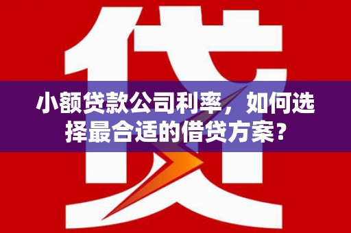 金湾小额贷款公司利率，如何选择最合适的借贷方案？