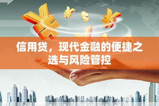 金湾信用贷，现代金融的便捷之选与风险管控