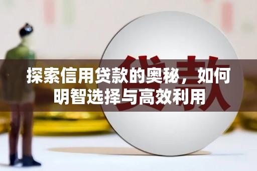 金湾探索信用贷款的奥秘，如何明智选择与高效利用