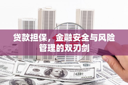 金湾贷款担保，金融安全与风险管理的双刃剑