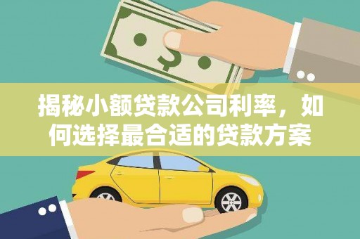 金湾揭秘小额贷款公司利率，如何选择最合适的贷款方案