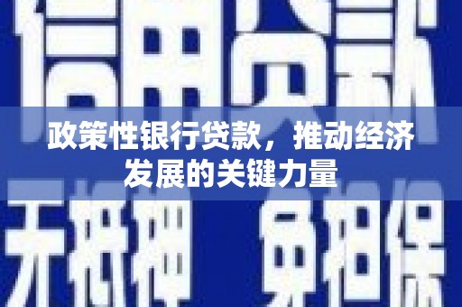 金湾政策性银行贷款，推动经济发展的关键力量