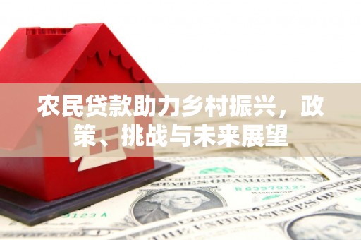 金湾农民贷款助力乡村振兴，政策、挑战与未来展望