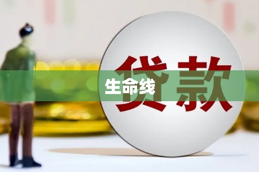 金湾生命线