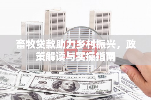 金湾畜牧贷款助力乡村振兴，政策解读与实操指南