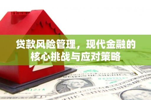 金湾贷款风险管理，现代金融的核心挑战与应对策略