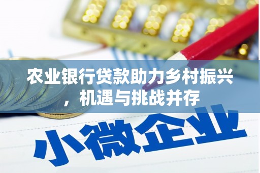 金湾农业银行贷款助力乡村振兴，机遇与挑战并存
