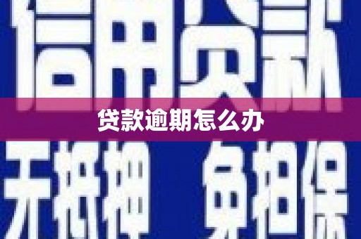 金湾贷款逾期怎么办