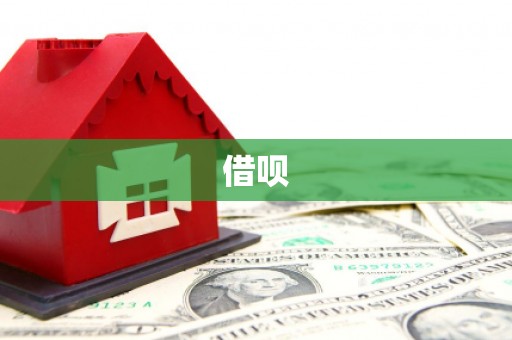 金湾借呗