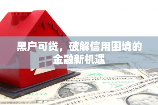 金湾黑户可贷，破解信用困境的金融新机遇
