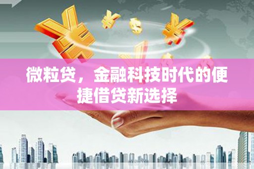 金湾微粒贷，金融科技时代的便捷借贷新选择