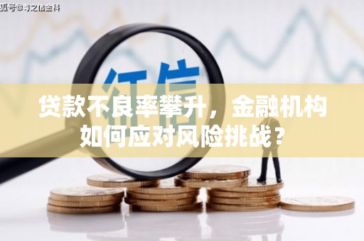 金湾贷款不良率攀升，金融机构如何应对风险挑战？