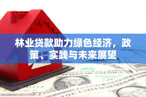 金湾林业贷款助力绿色经济，政策、实践与未来展望