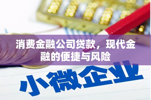 金湾消费金融公司贷款，现代金融的便捷与风险
