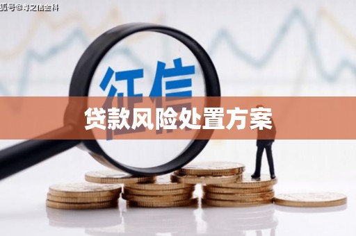 金湾贷款风险处置方案