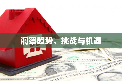 金湾洞察趋势、挑战与机遇