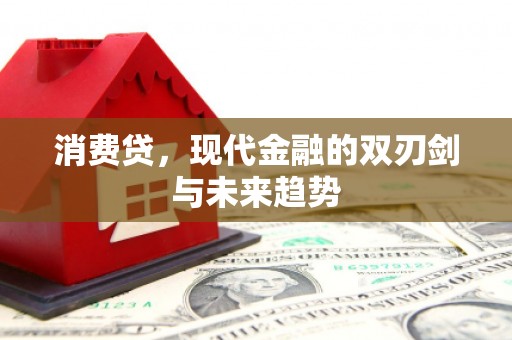金湾消费贷，现代金融的双刃剑与未来趋势