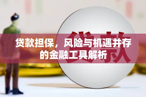 金湾贷款担保，风险与机遇并存的金融工具解析