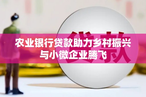 金湾农业银行贷款助力乡村振兴与小微企业腾飞